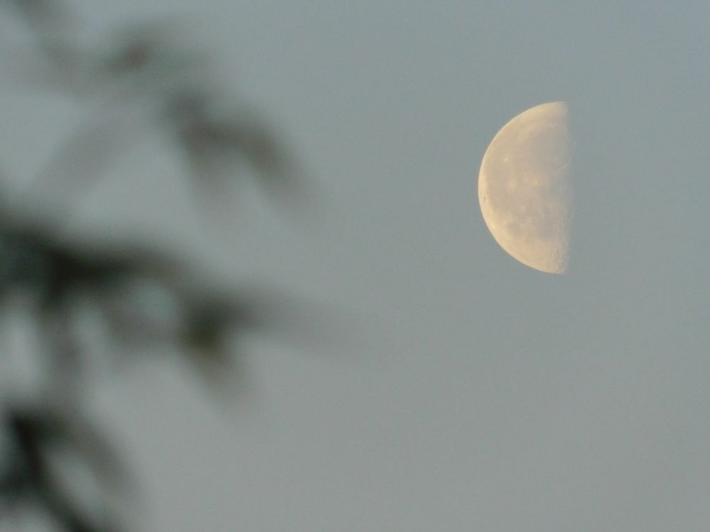 Photograph by Aliaksei Sauko