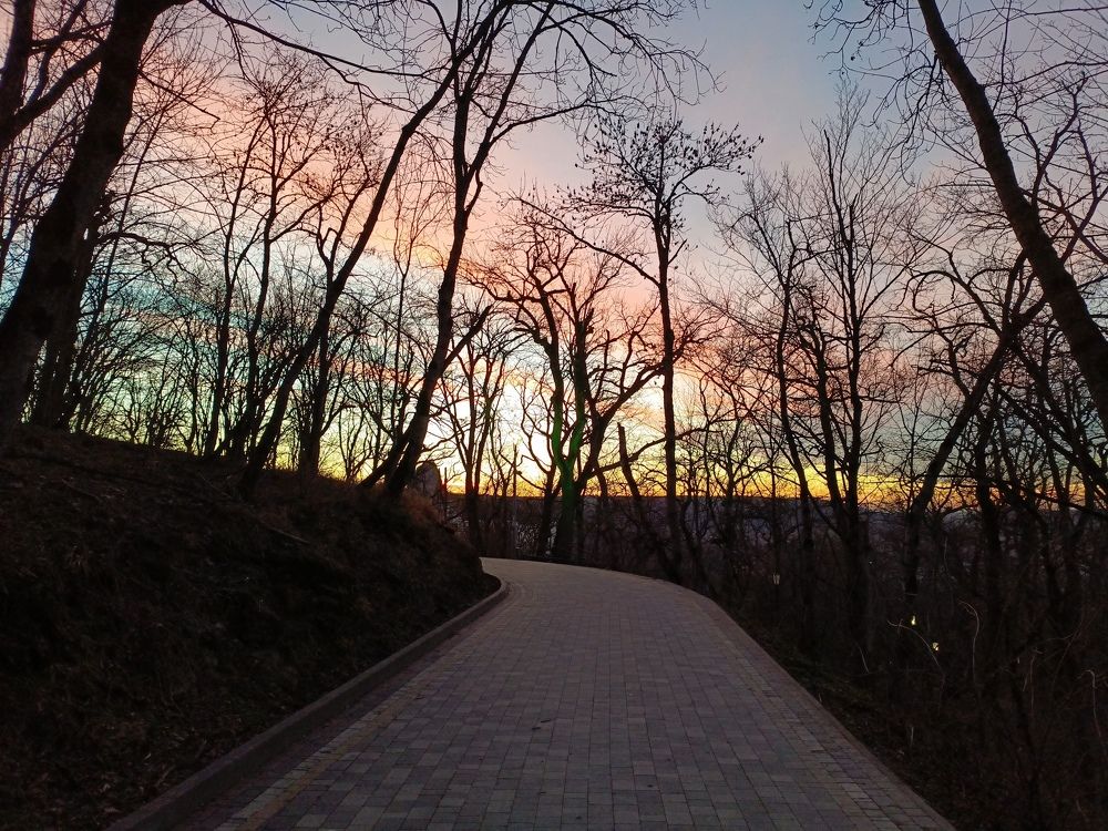 Photo #10068618
