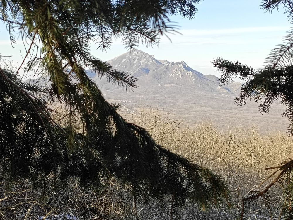 Photo #10068640