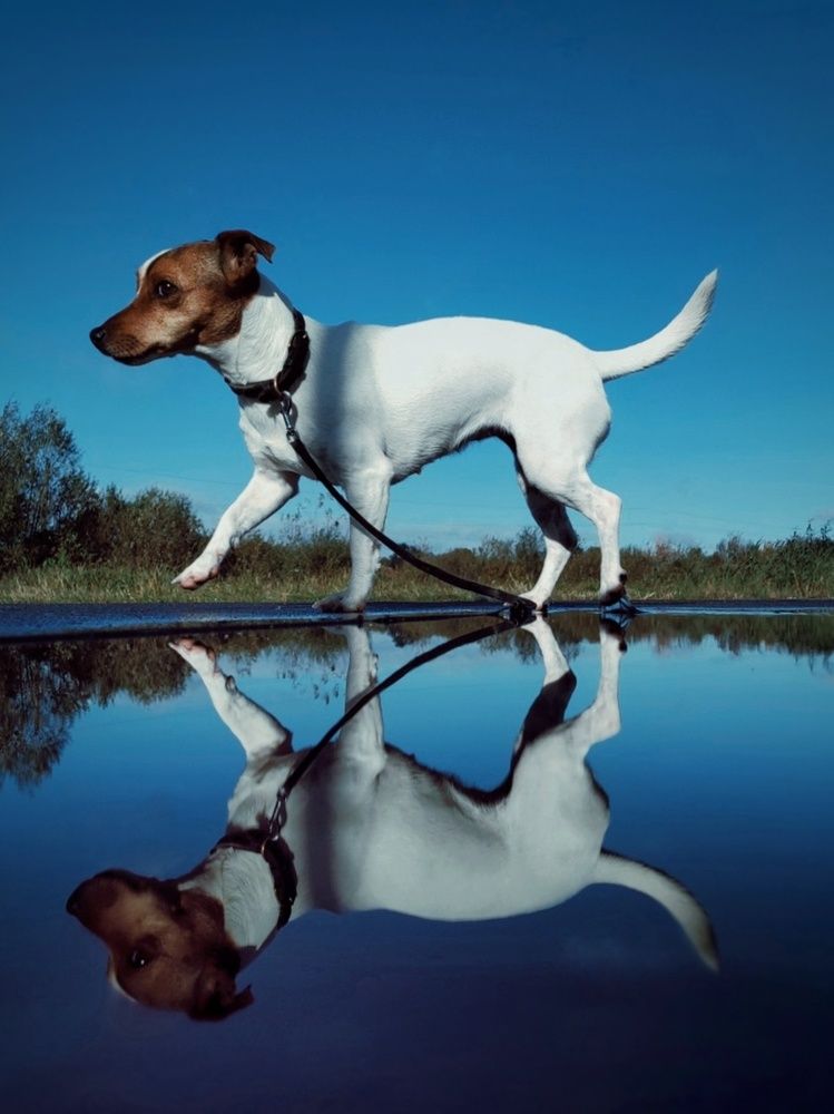 Photograph by Анастасия Кричевцова