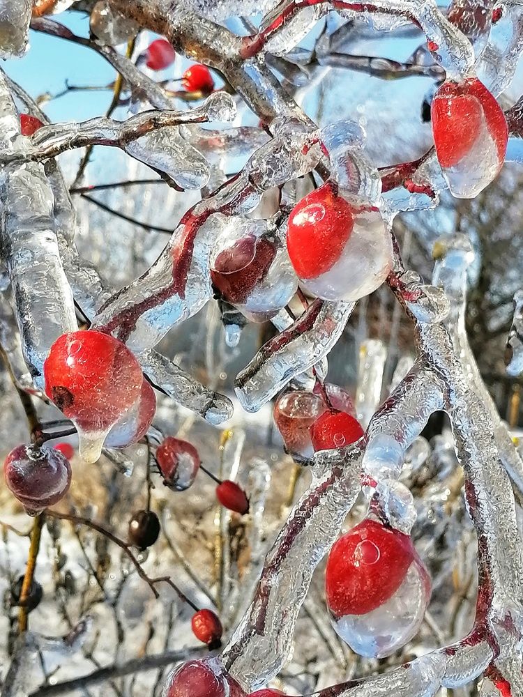 Photograph by Анжелика