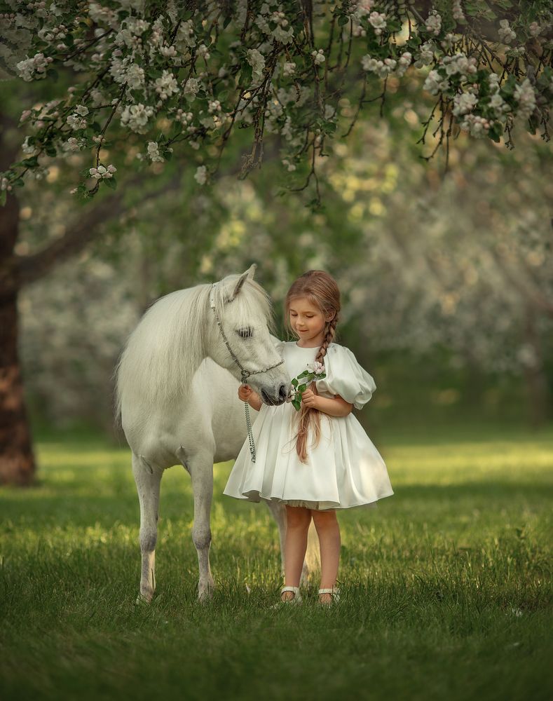 Photograph by 