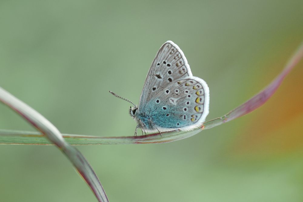 Photograph by Анна Бобкова