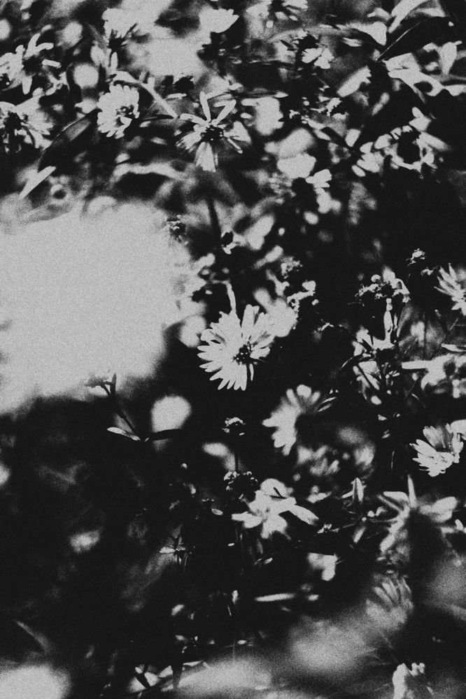 Photograph by Сергей Булышев