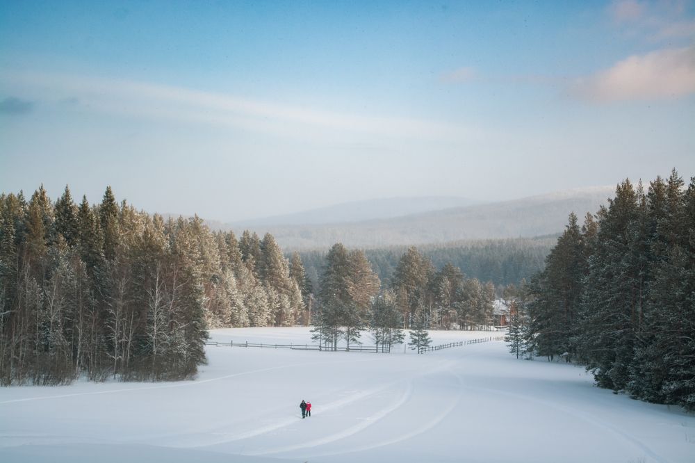 Photograph by Антон Глухов