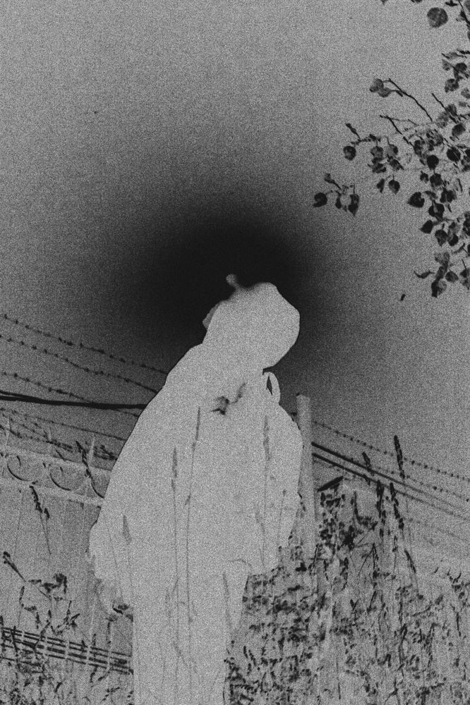 Photograph by Сергей Булышев