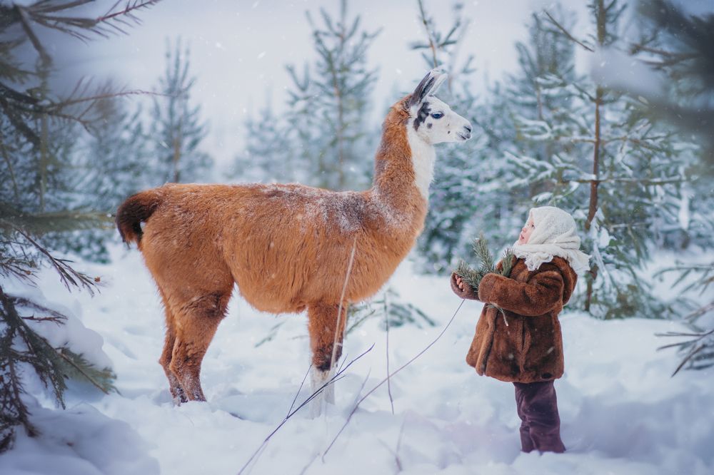 Фотография автора Виктория Головнич