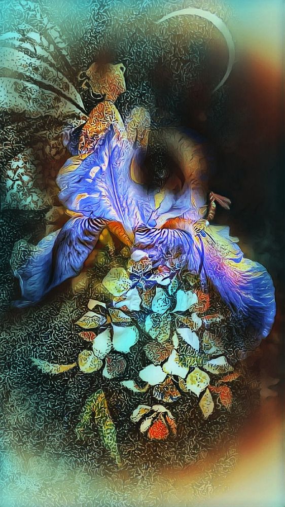 Photograph by Алла Холодова