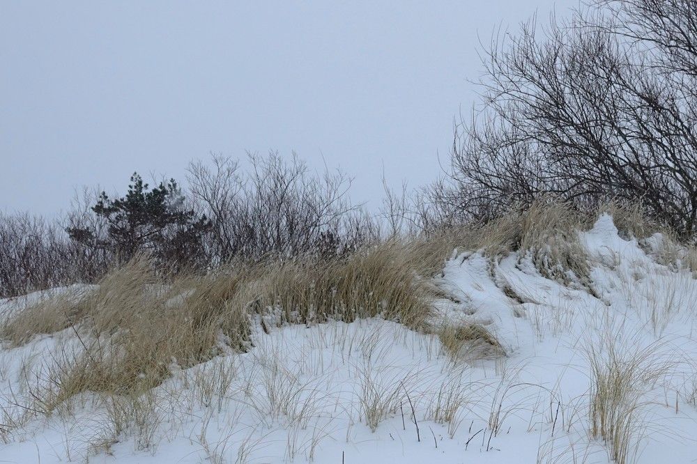 Photograph by jelena konickaja