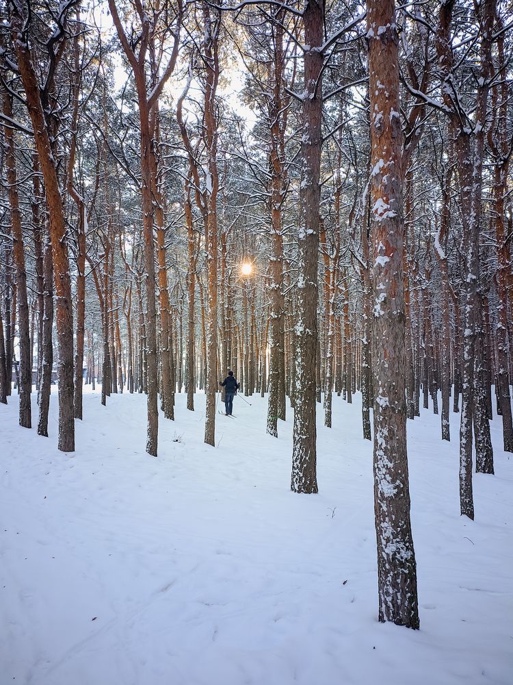 Photograph by Олега Тор