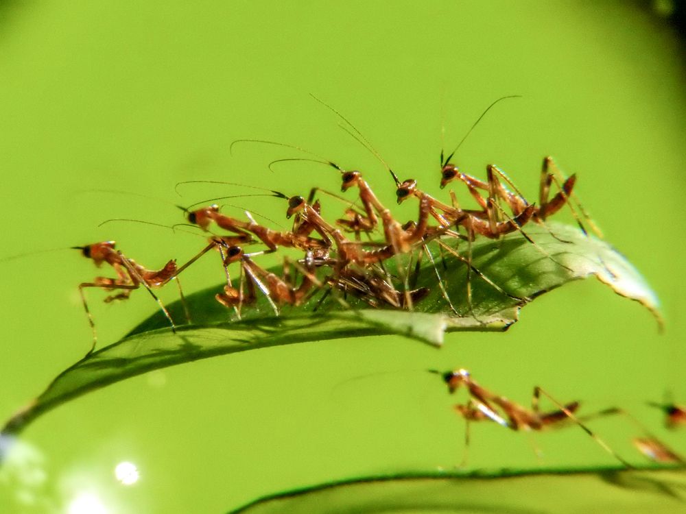 Photograph by Bidyut Dutta