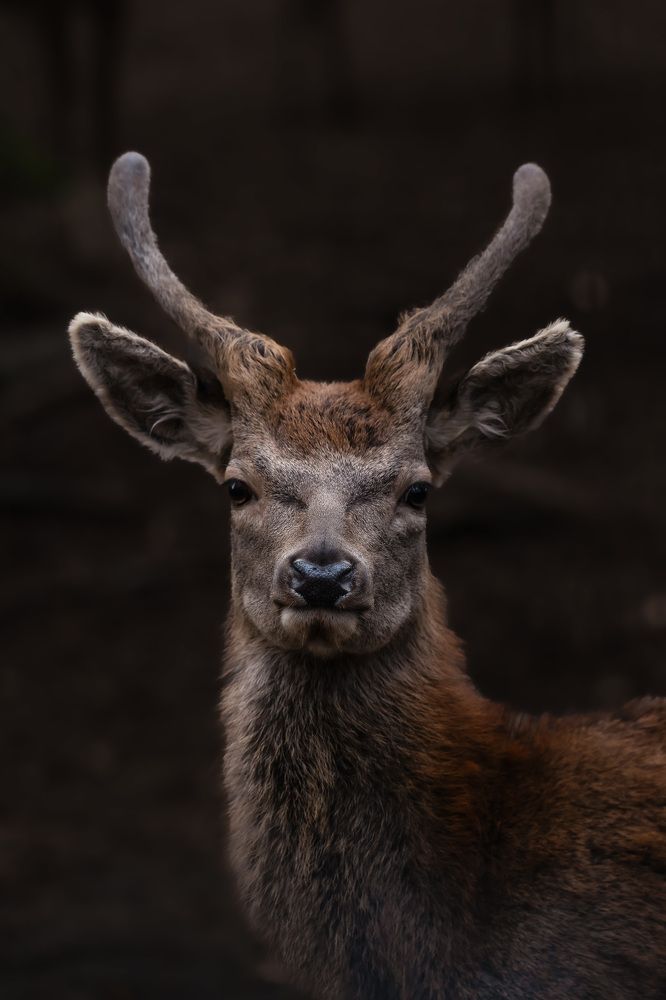 Photograph by Adriana Smeu