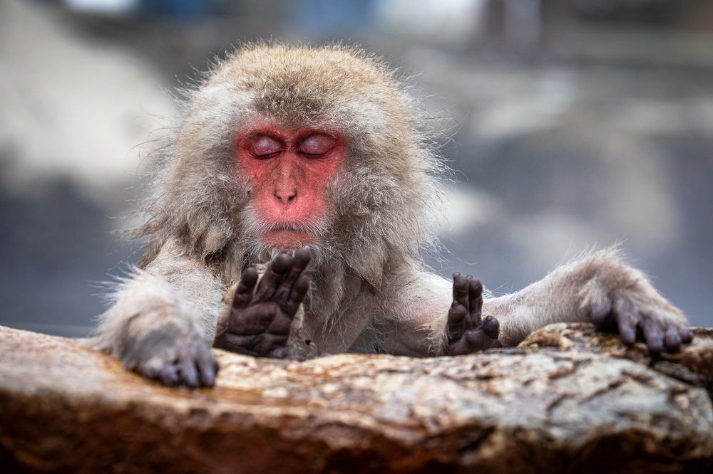 Photograph by Vita Potomova