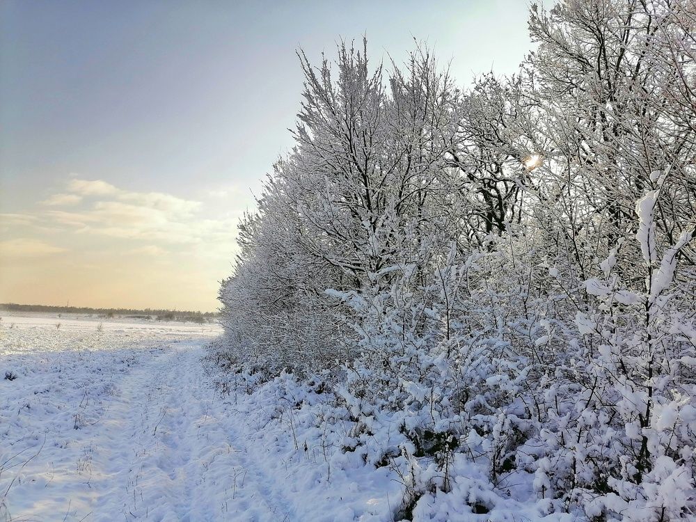 Photograph by Анжелика
