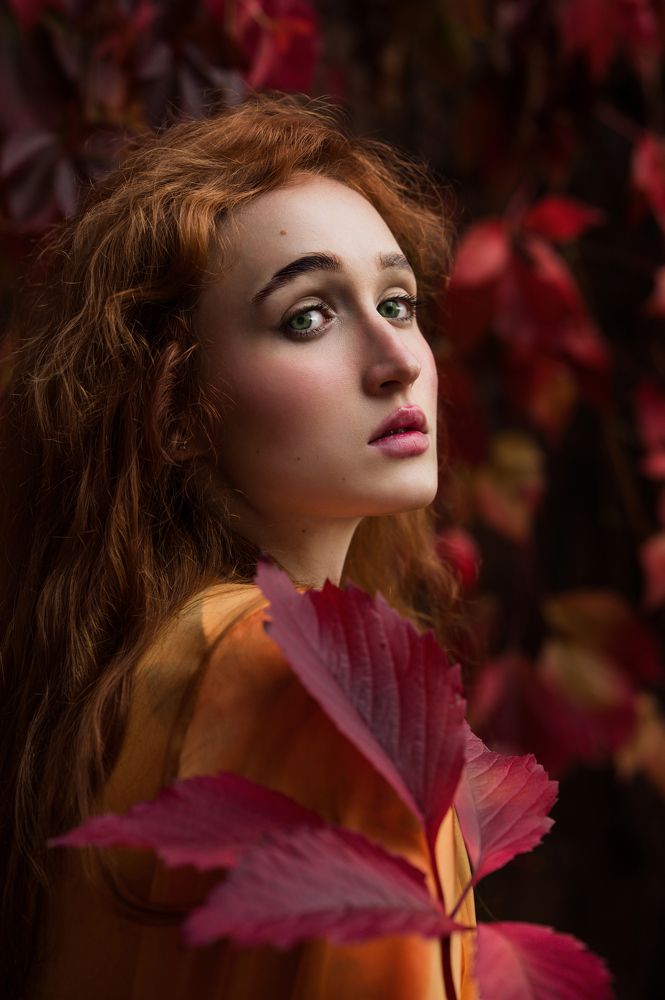 Photograph by Droktata