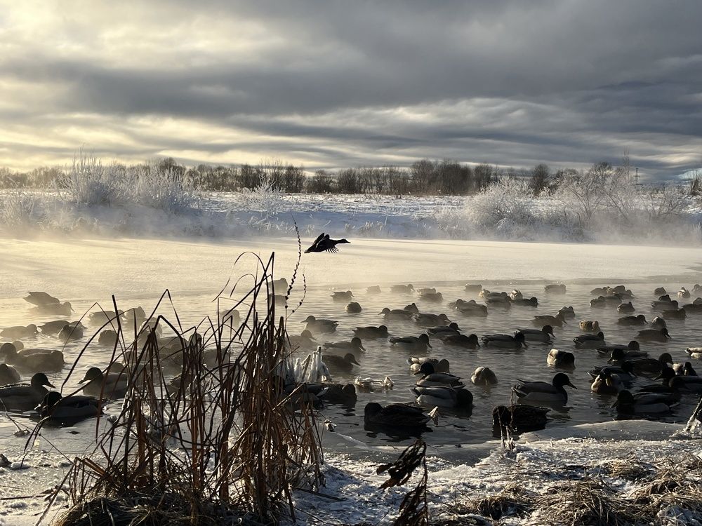 Photograph by Наталья Ермакова