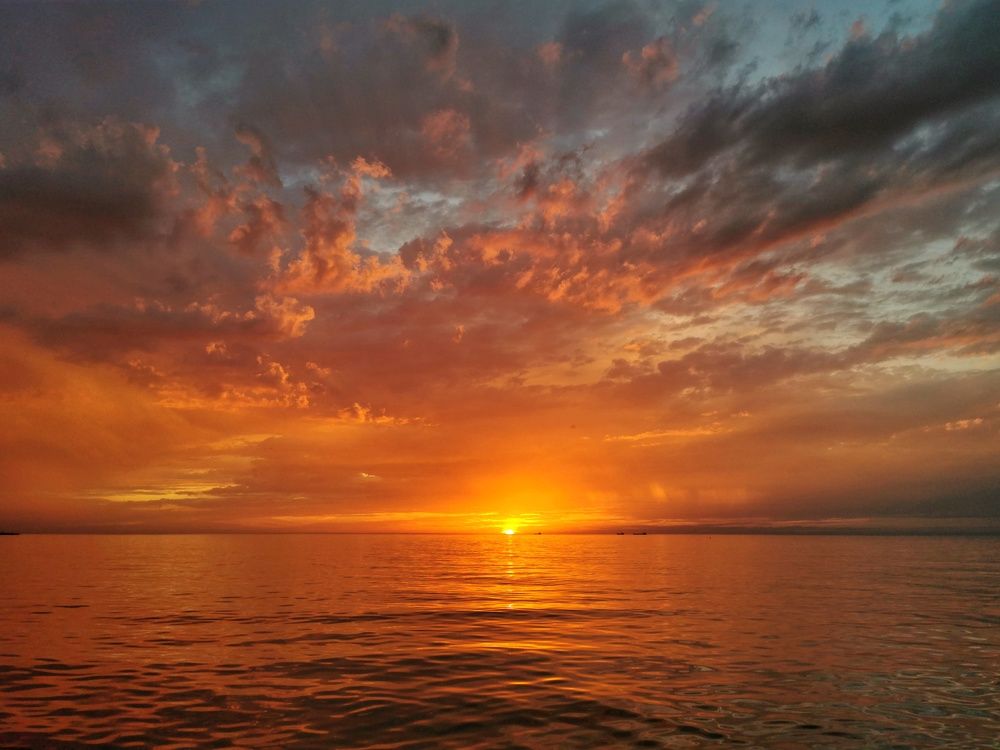 Photograph by Елена Вертегова