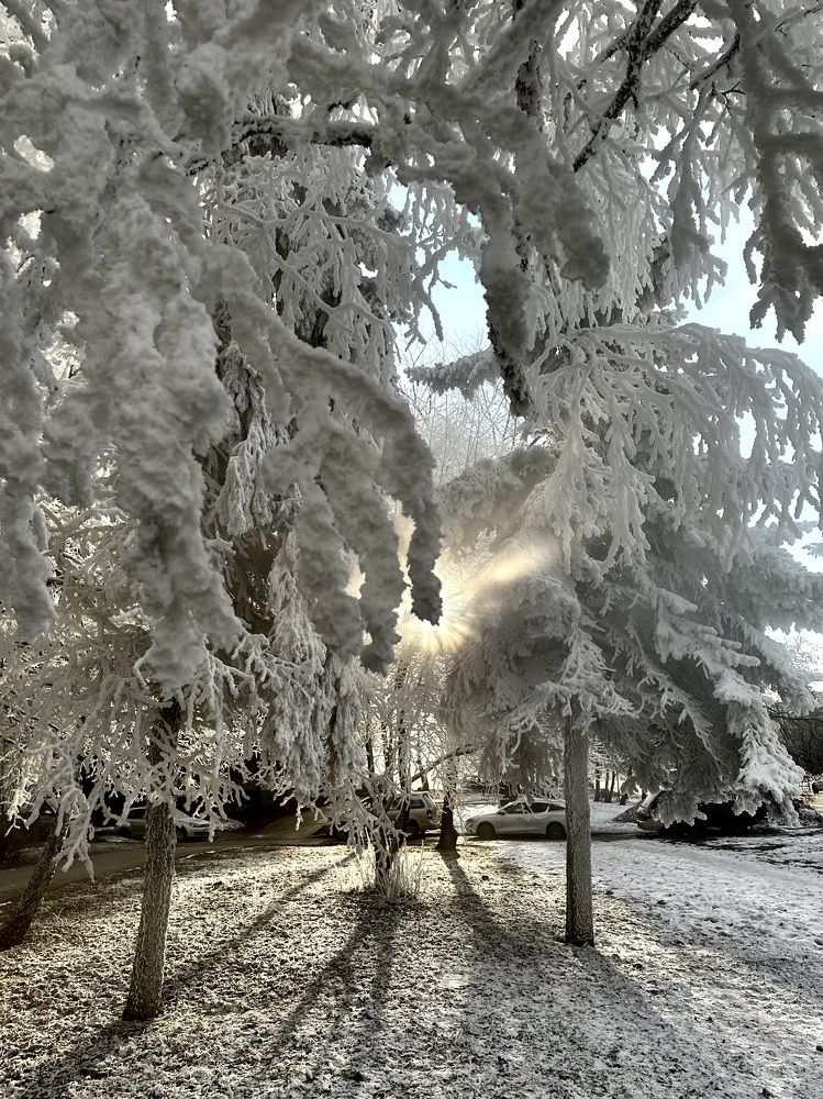 Photograph by Svetlana Rashidova