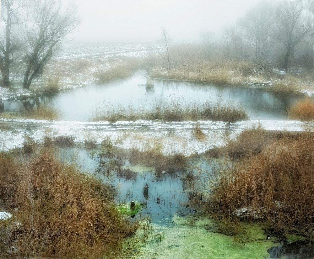 Фотография автора Валентина Петровна