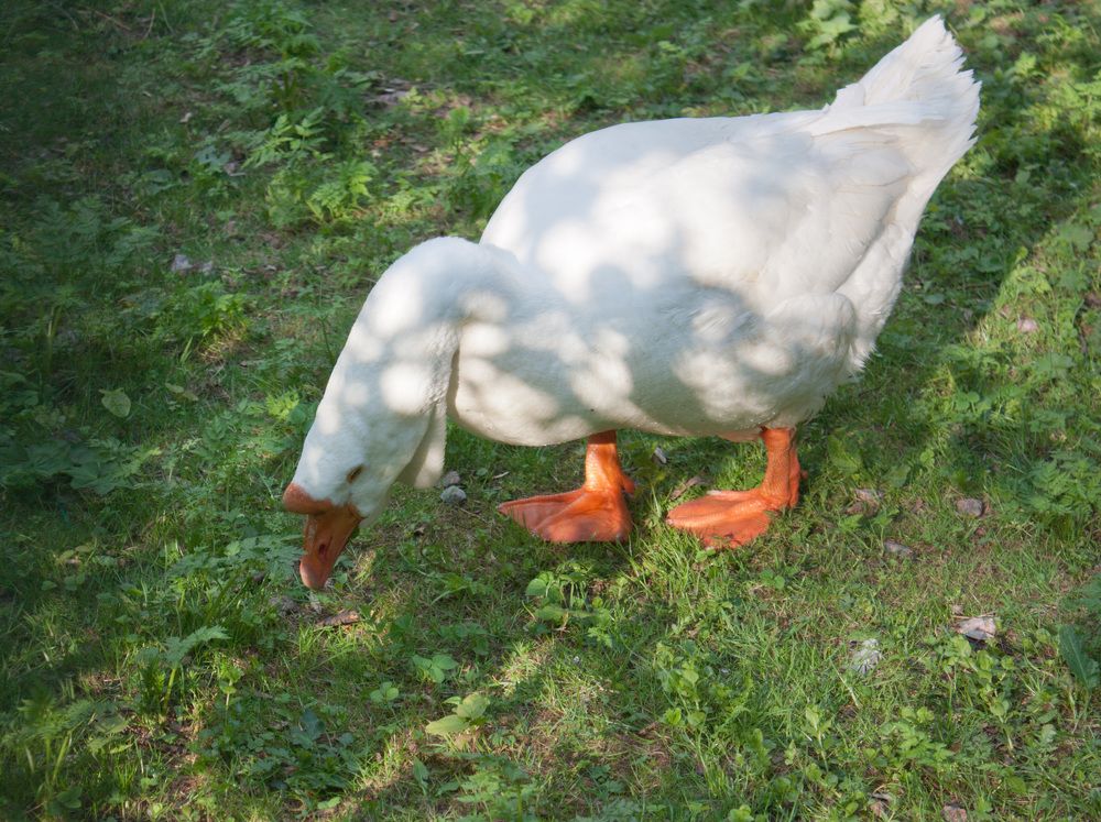 Photograph by Мария Самоловова