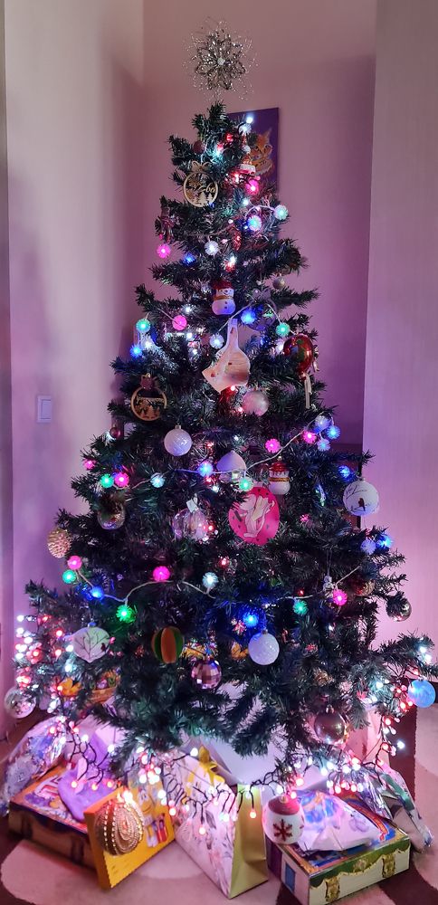 Photograph by Natasha Kim