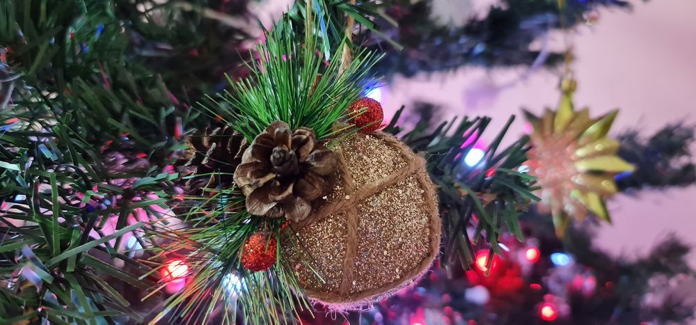 Photograph by Natasha Kim