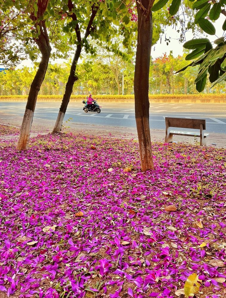 Photograph by Wang Li