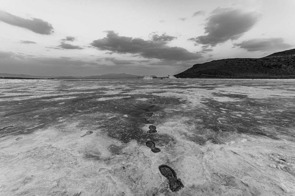 Photograph by Shakil