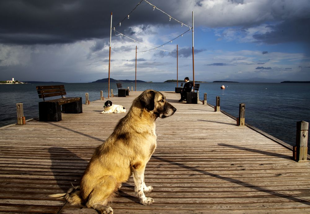 Photograph by Ersan AKARSU