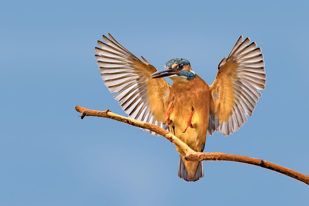 Photograph by Erdogan DEDE