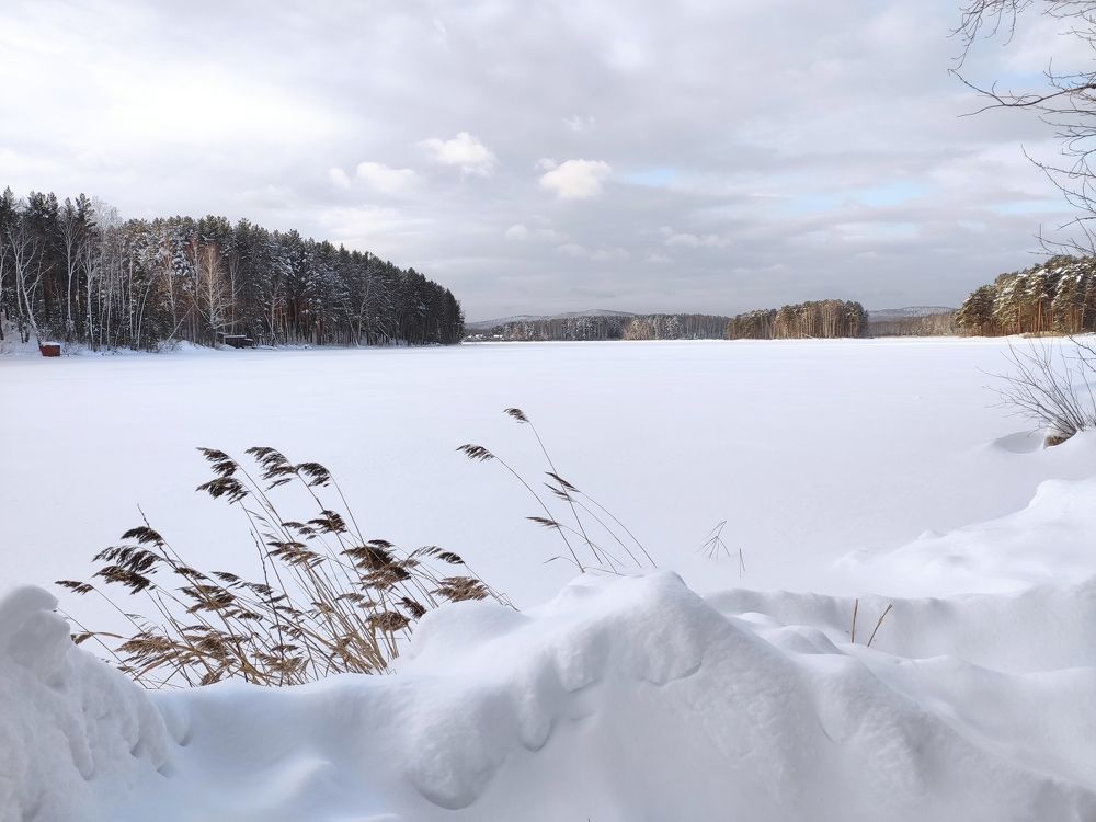 Photograph by Виталий Черепенькин