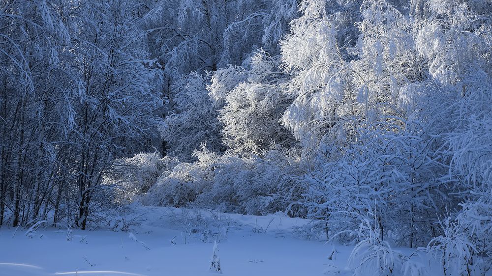 Photograph by Алексей Парамонов