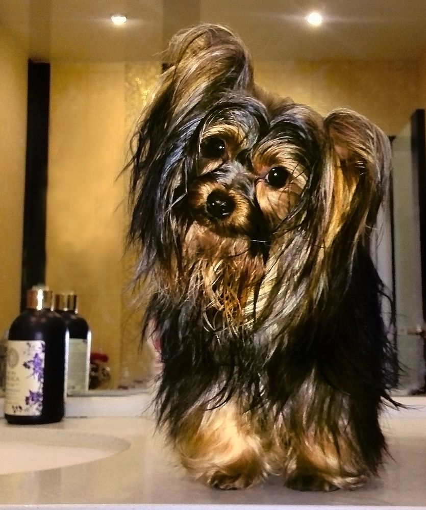 Photograph by юрий ященко