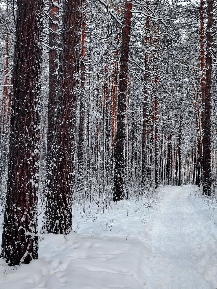 Photograph by Ольга Малина