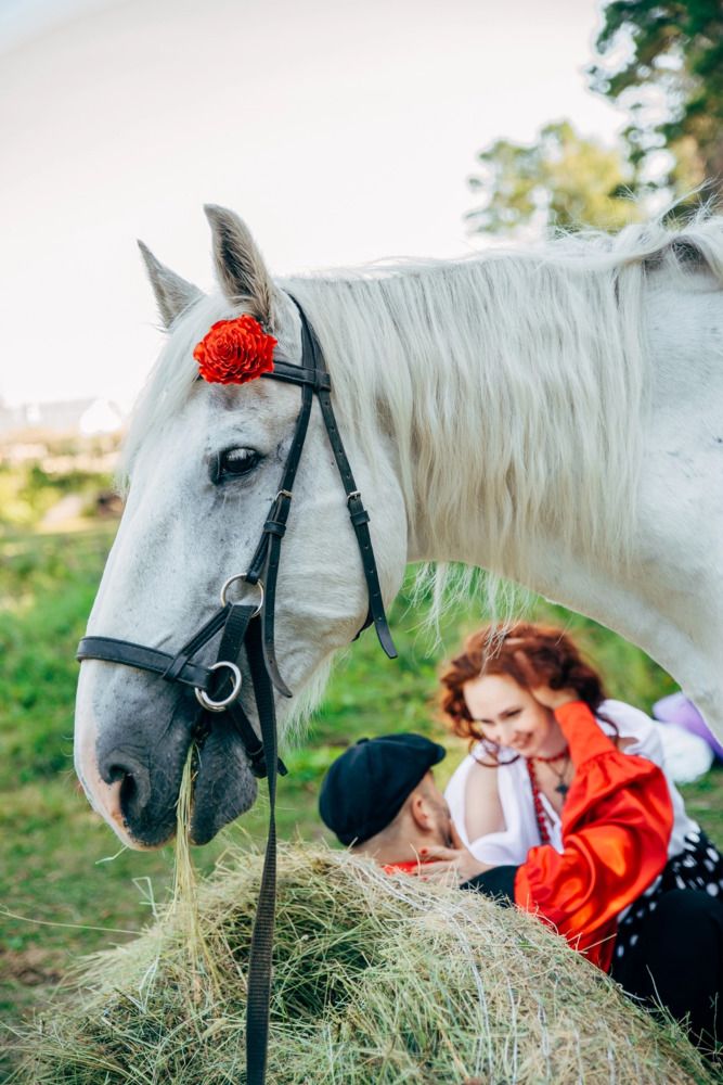 Photograph by Oльга Широковская