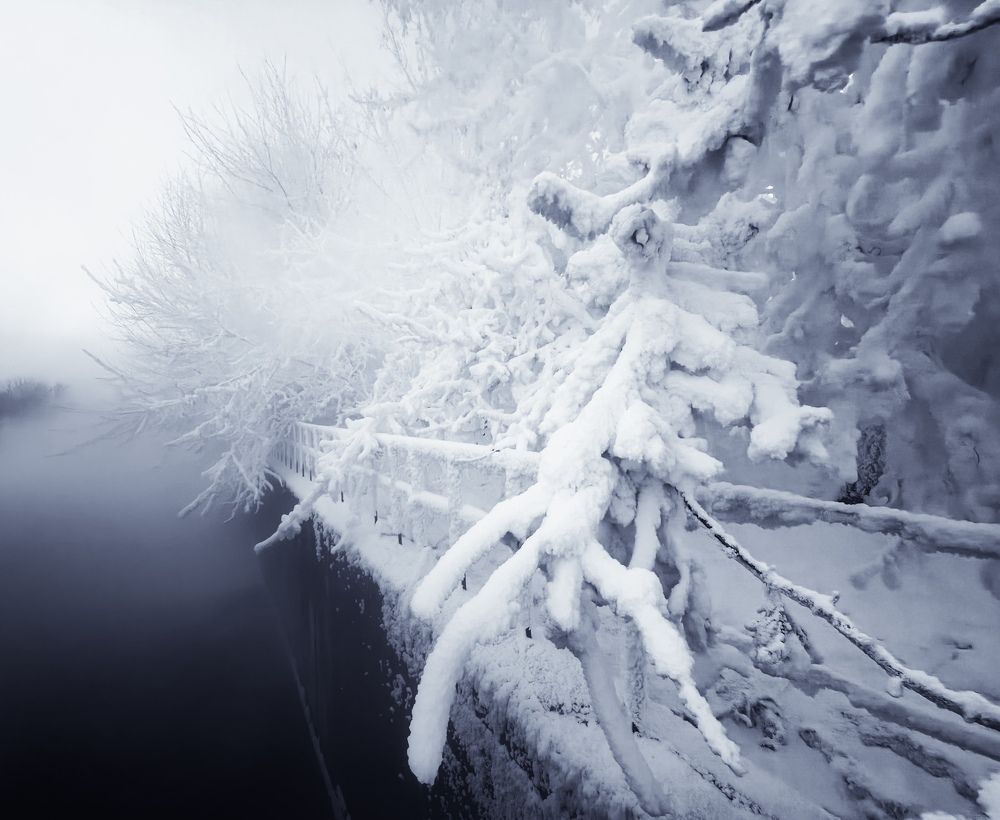 Ледяные крылья