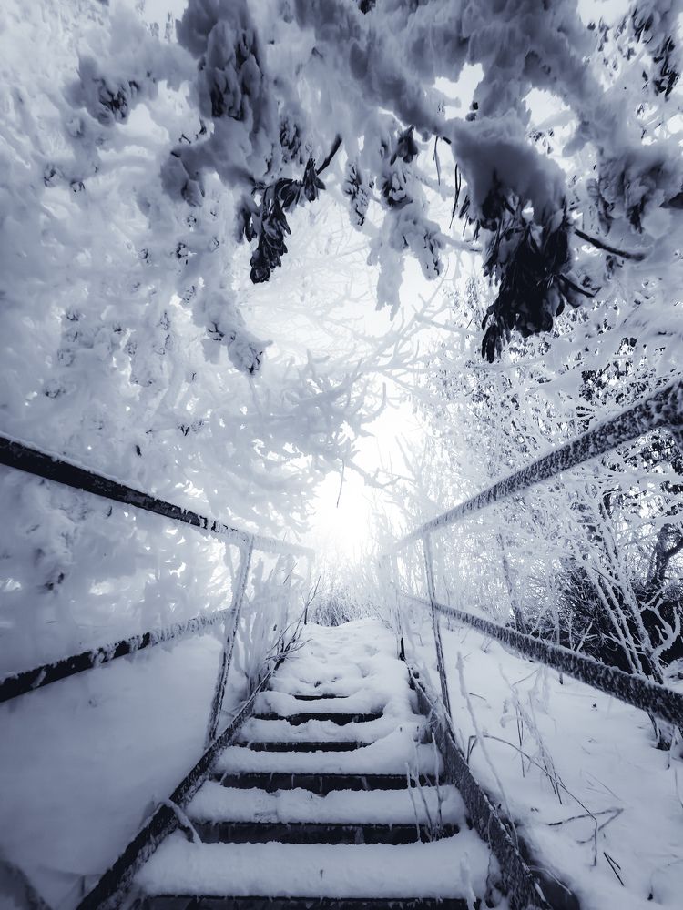 Photograph by Хомастя Настя