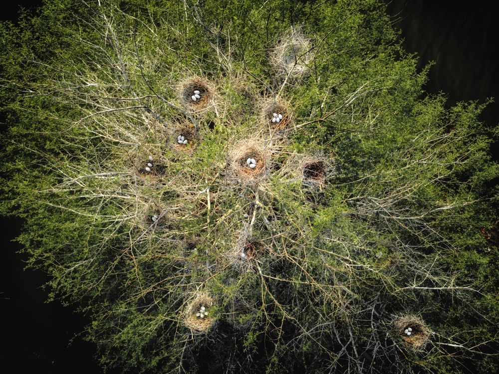 Photograph by Arun Kumar Nalimela