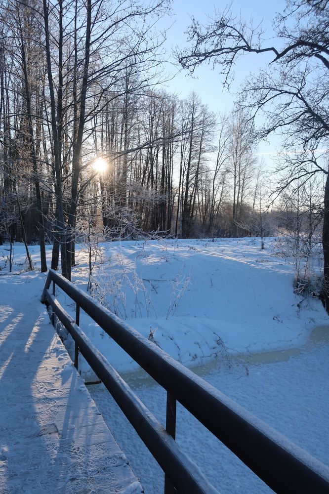 Photograph by Надежда