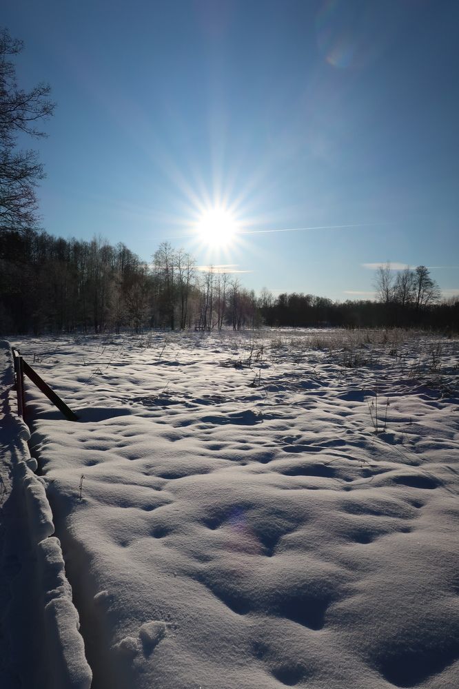 Photograph by Надежда