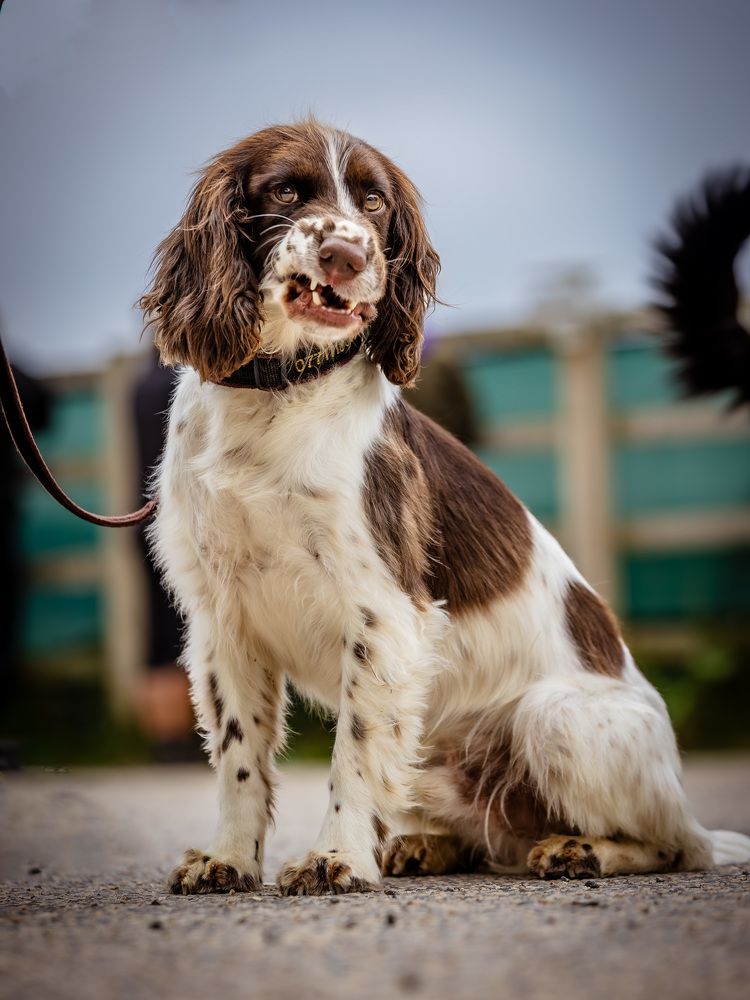 Photograph by Gordon Feehan