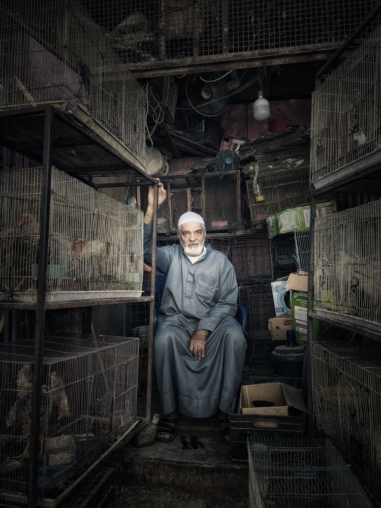 The Birdman of Basra