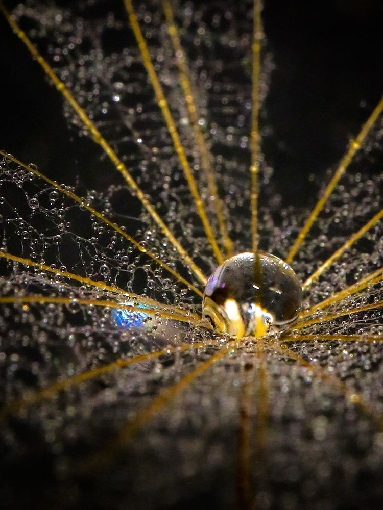 Photograph by Ирина Корабельникова