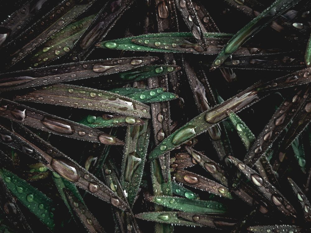 Фотография автора Константин Григорьев