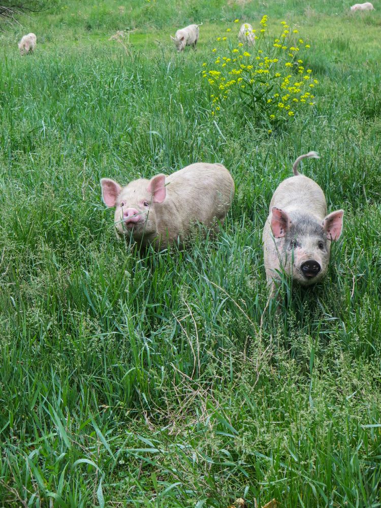 Photograph by Дарья Овсянникова