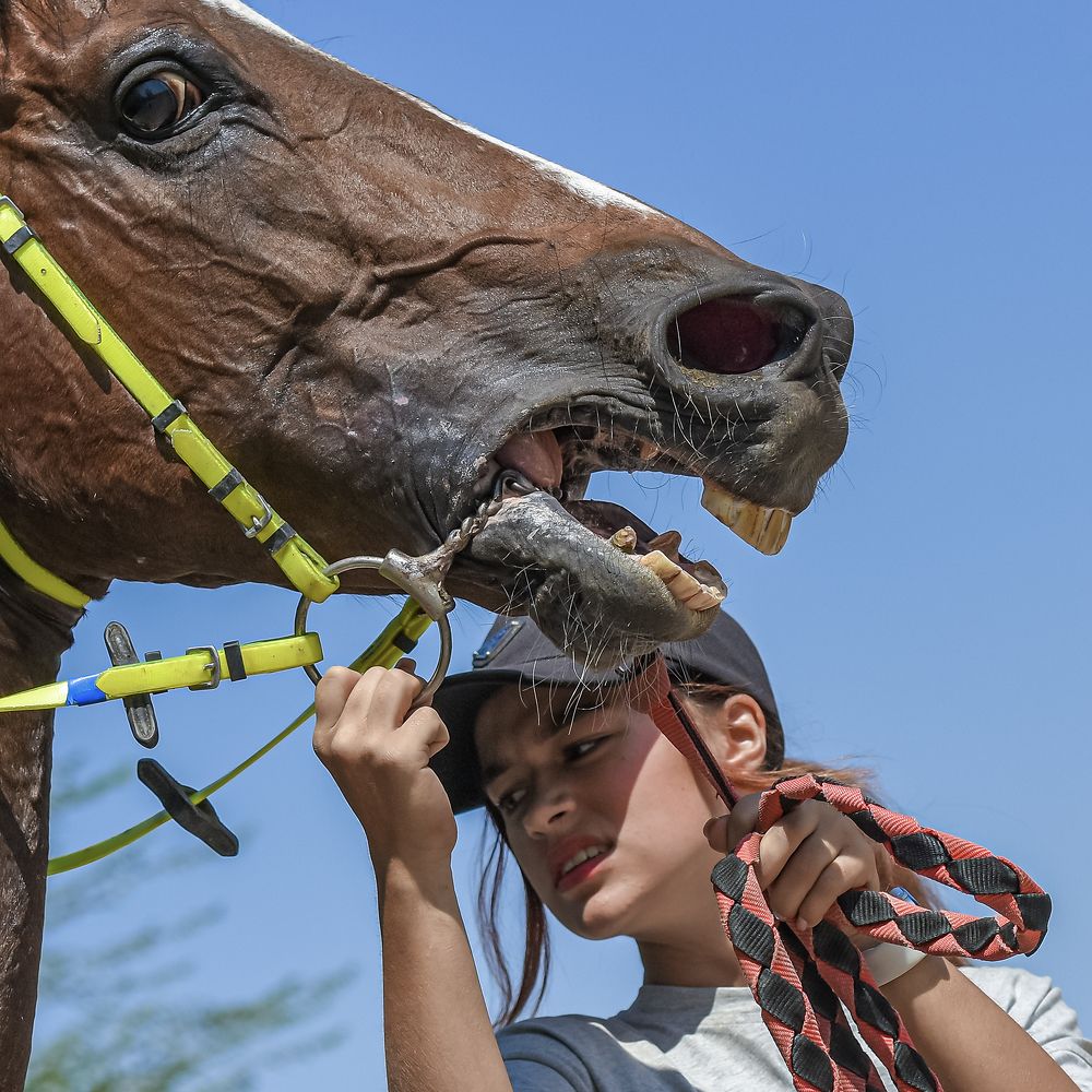Фотография автора Владимир Пронин