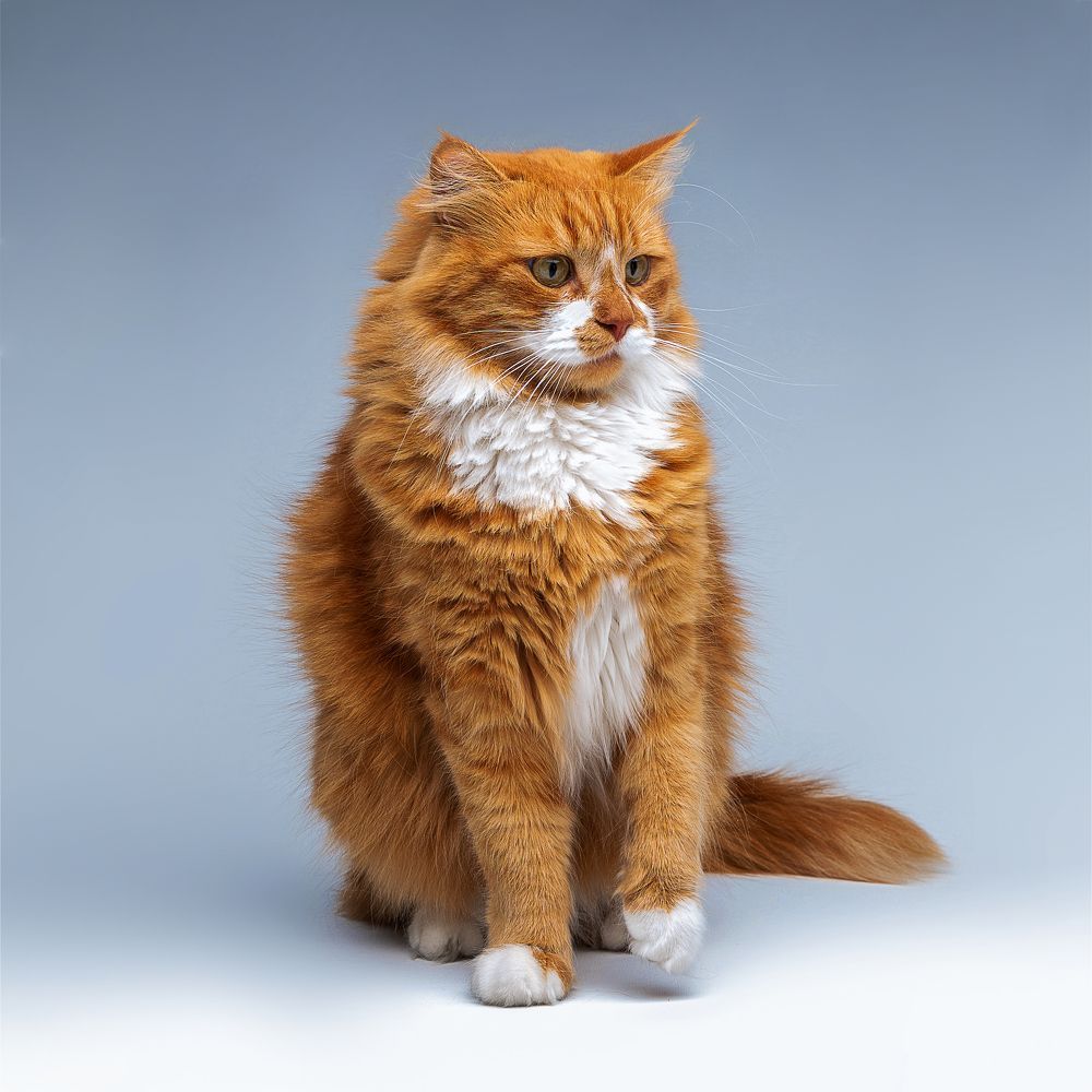 Photograph by Геннадий Суслов