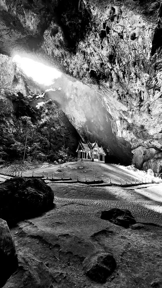 Photograph by Tony Rees