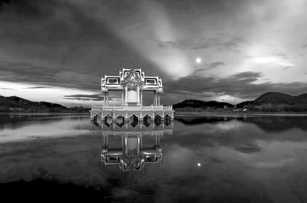 Photograph by Tony Rees