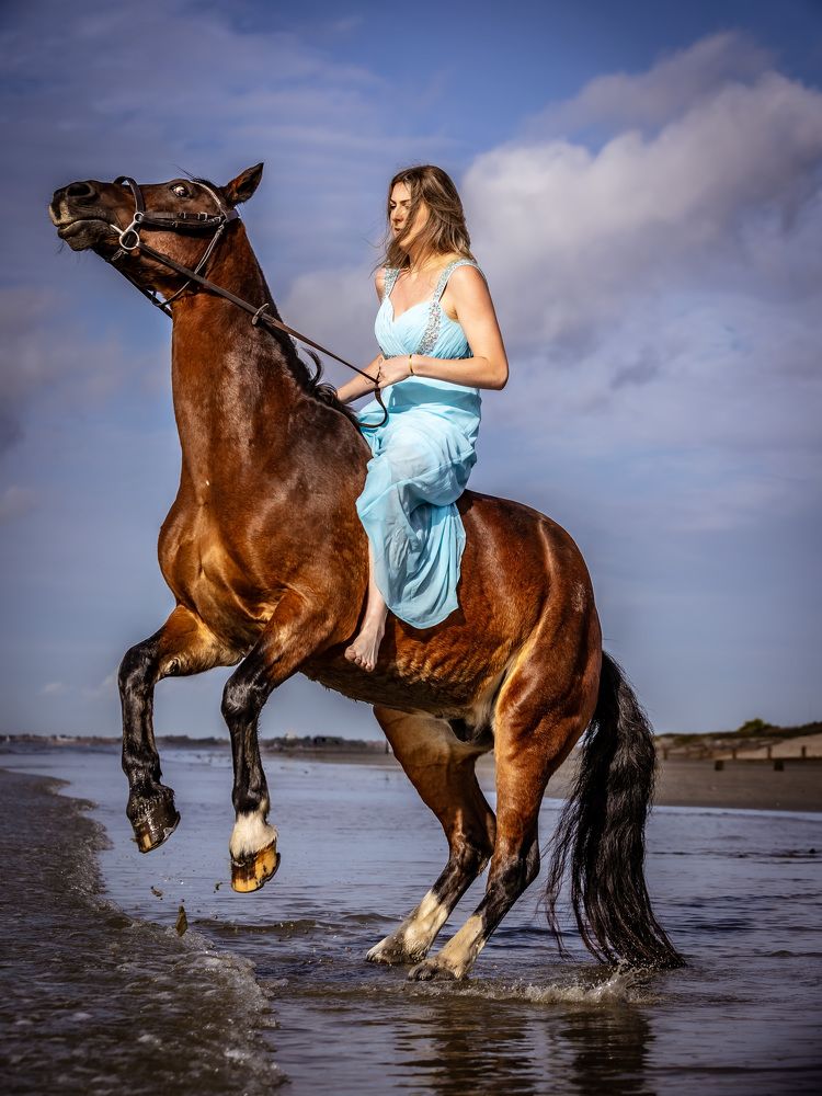 Photograph by Gordon Feehan